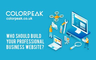 Who should build your professional business website? Web designer, web developer, graphic artist or graphic designer?
